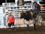 Bullfighter & Clown Clint Lott