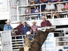 Results, Wild Bill Hickok Rodeo – Abilene, Kansas August 3-6, 2022 Bulls Creek Young on R23 Deal Me In; Creek Young, Rogersville, Mo., wins the bull riding at the 2022 Abilene rodeo with an 88 point ride. Photo by Fly Thomas.